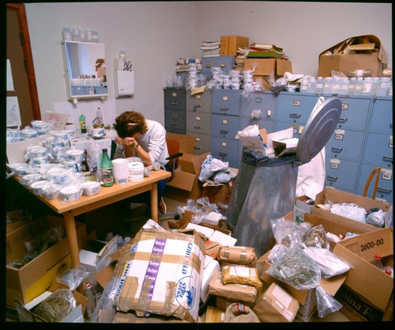 Kvinne sitter med hodet i hendene ved et bord fullt av prøvebokser. Rommet rundt er fullt av tilsvarende esker og bokser.