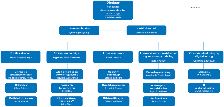 Organisasjonskart over DSA per november 2025